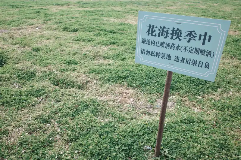 商业画册印刷工艺对比：胶印与数码印刷的适用场景分析