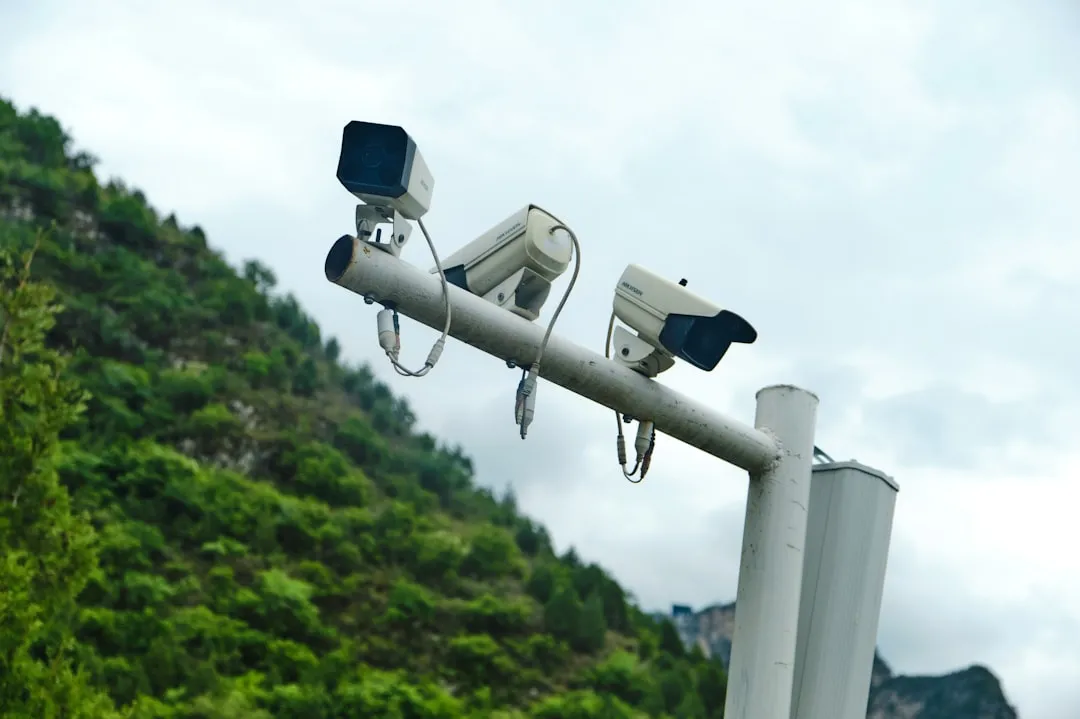 商务印刷品质量管控要点：从设计到成品的全流程解析