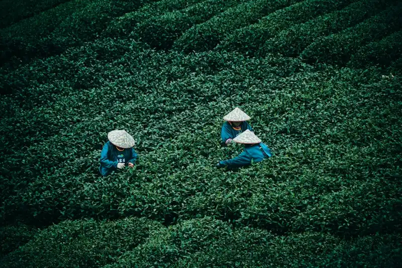 印刷设计中的色彩管理：如何确保画册印刷品色彩还原度达到商务标准