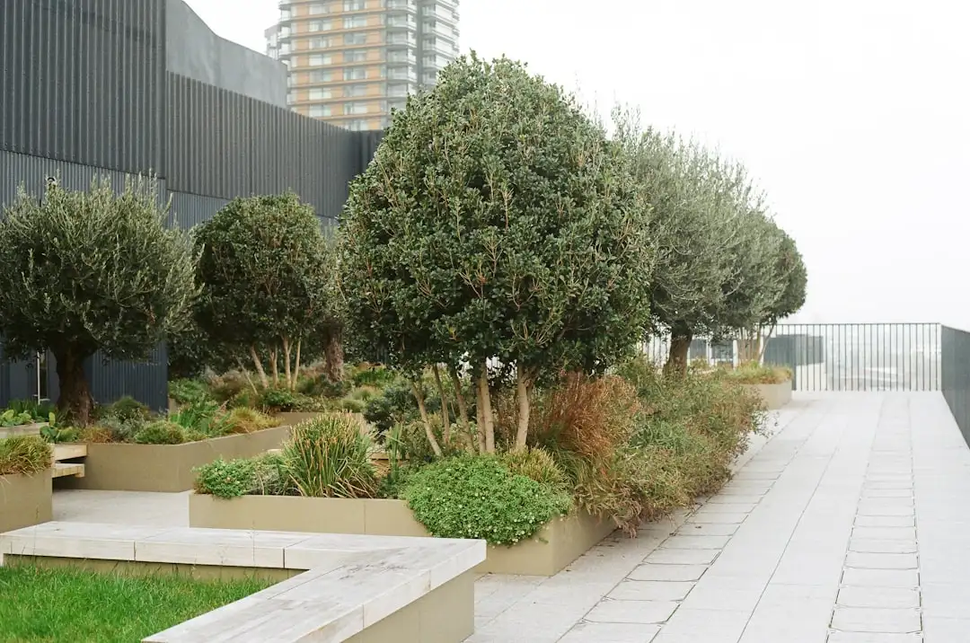 画册印刷工艺对比：胶印与数码印刷在企业宣传物料中的适用场景
