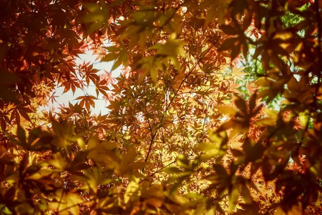 上海企业画册印刷质量管控要点与工艺优化方案